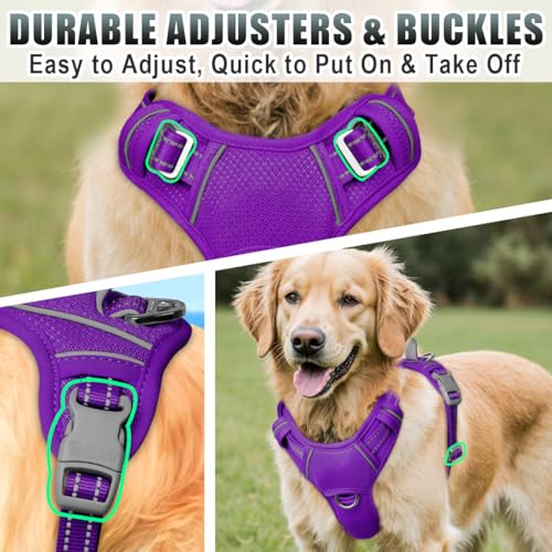 Dog Harness for Large Dogs No Pull Dog Vest ID Tag Pocket (Purple / Large)