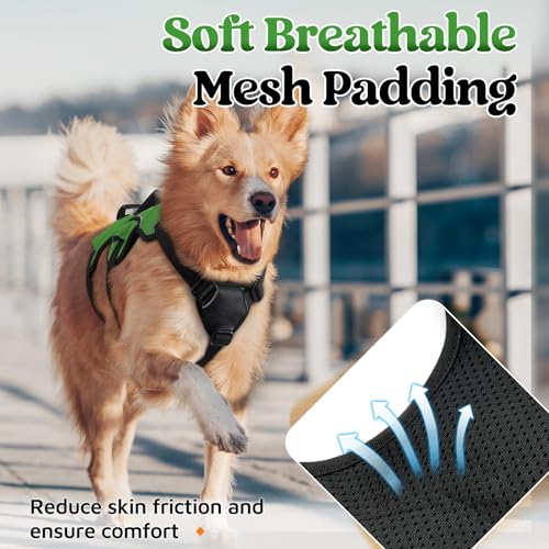 Escape Proof Dog Harness for X (Green / X-Large)