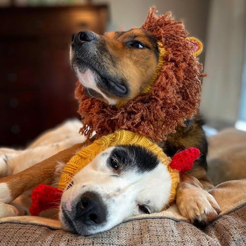 Rooster Costume (Yellow / Small)