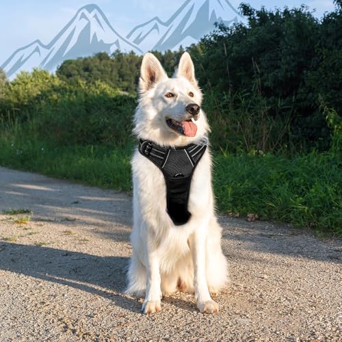 Dog Harness for Large Dogs (X-large / Black)