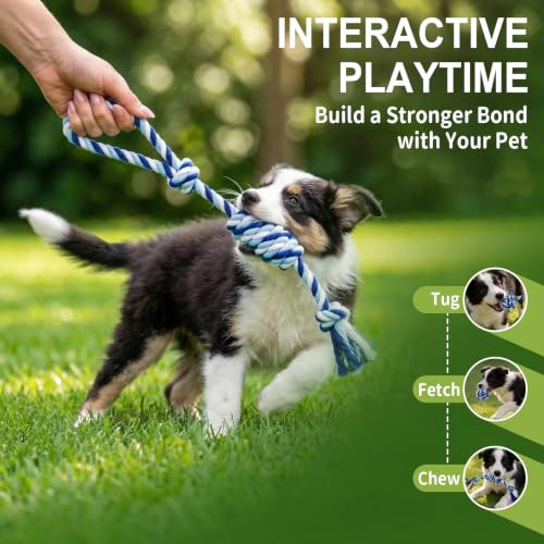 Dog Rope Toys for Small Dogs & Puppies (Blue / Small)