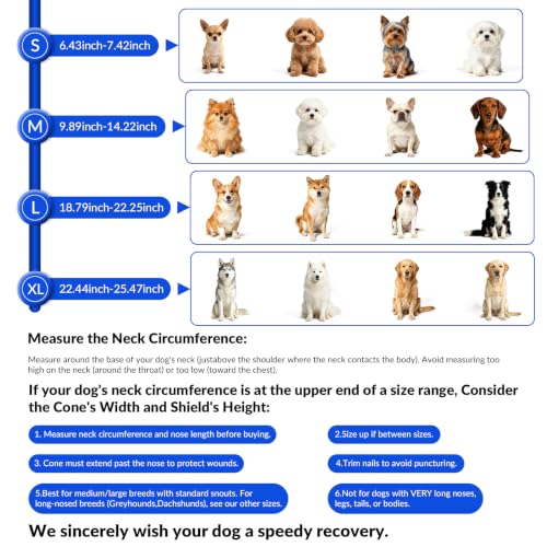 2-in-1 Inflatable Dog Cone Collar, Transparent Anti-Licking Shield with Detachable Soft Padding, Adjustable Elizabethan Collar for Small, Medium, Large Dogs and Cats (M) ((M）)
