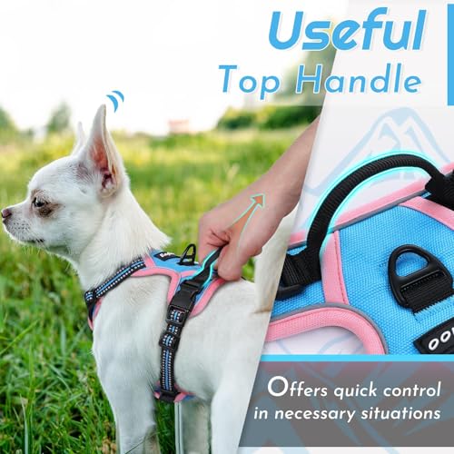 Dog Harness for Small Dogs (X-Small / Pink & Blue)