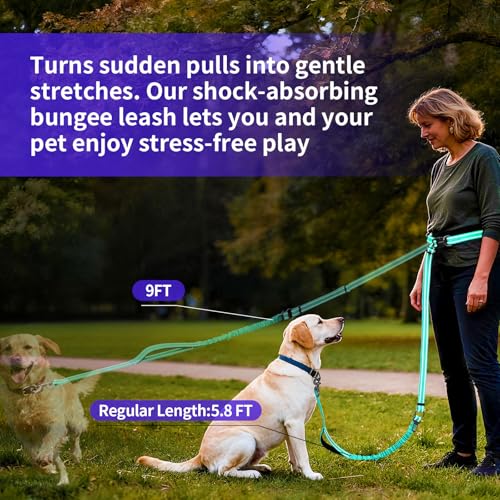 Hands Free Dog Leash by Kazazoo (GREEN / L)