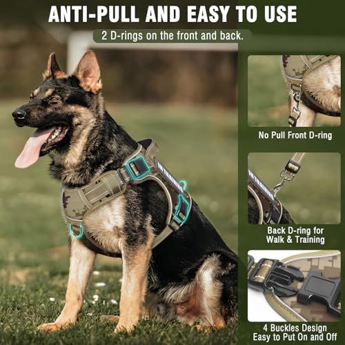 Tactical Dog Harness and Leash Set with 10 Patches for Large Dogs (Large / Desert Camo)