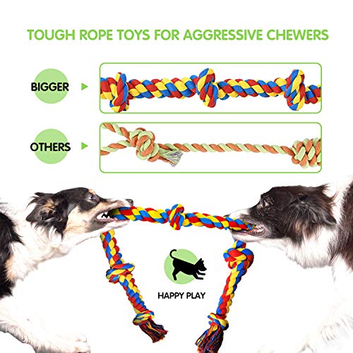 Large Tough Chew Toys for Aggressive Chewers (9 Packs / Large)