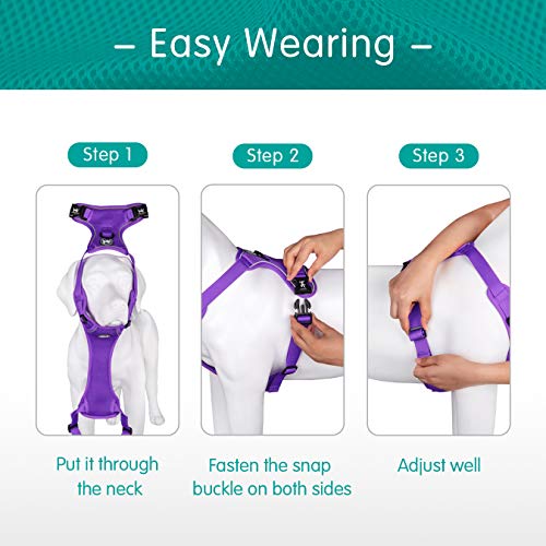 Mesh Dog Harness (XS / Purple)