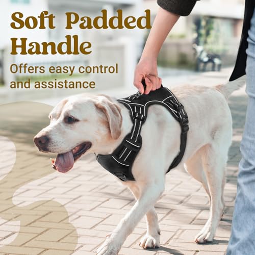 Large Dog Harness (Medium / Black)