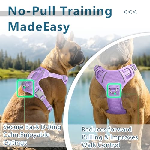 Dog Harness No Pull with ID Tag Pocket (Large(Chest:24.5-32.5") / Violet Purple)