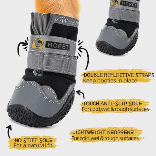 Dog Shoes for Dogs (Black / Width 2.55 in)