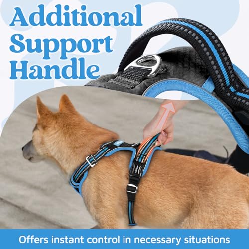 Dog Harness Medium Sized (Black & Blue / Medium)