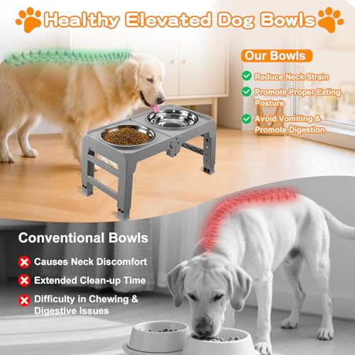 Elevated Dog Bowls for Large Dogs 5 Adjustable Heights 7.5" (Grey / 10" for Large Dogs)