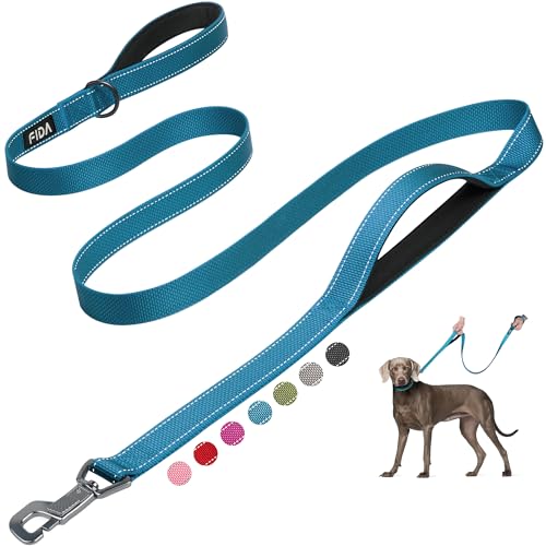 Heavy Duty Dog Leash for Medium Large Dogs (6 Feet (Pack of 1) / Blue)