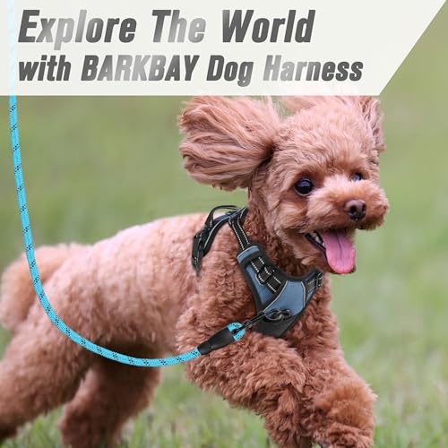 Dog Harness No Pull for Small Sized Dog Front Back Clips (X-Small(Chest:15.5-19.5”) / Navy)