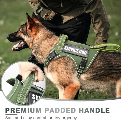 Tactical Dog Harness (Small / Green)