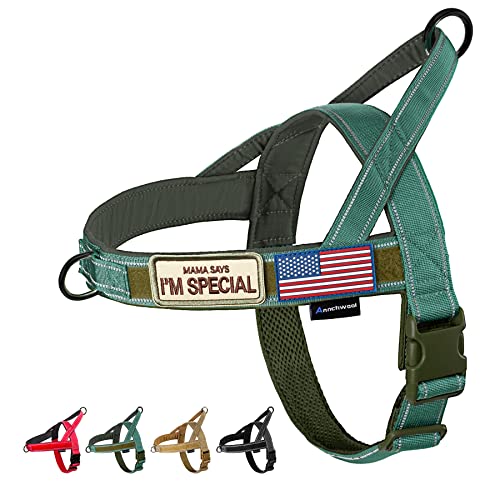 No Pull Dog Harness with Soft Padded Handle (L / Green)