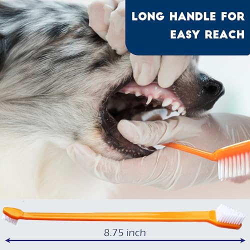 300 Pcs Dog Toothbrush Cat Tooth Brushes Bulk (300 pcs)