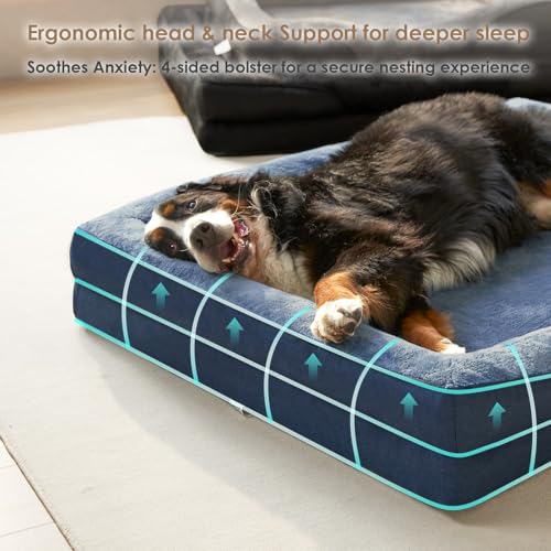 Orthopedic Dog Bed for Medium Dog (Navy / 30x20x6.5)