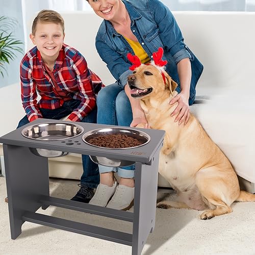 Elevated Dog Bowl Stand with 2 Stainless Steel Bowls (X large-14"tall,48 Oz bowl / Grey)