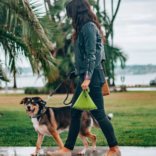Certified Home Compostable Dog Poop Bags (Forest Green / 120 Count (Pack of 1))