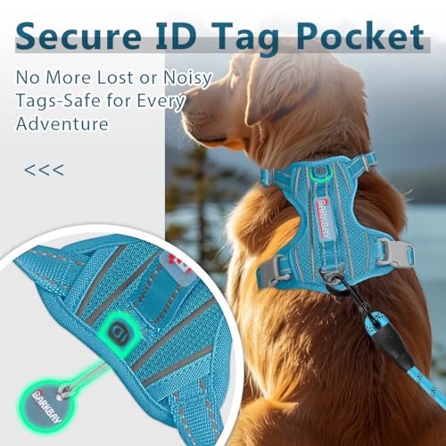 No Pull Dog Harness for Medium Sized Dogs (Medium(Chest:22.5-28") / Ocean Blue)