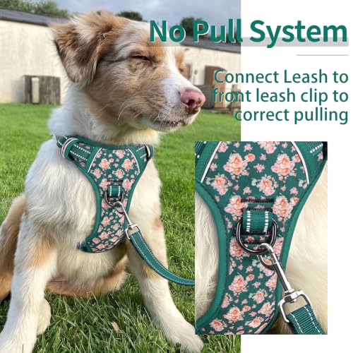 Dog Harness Reflective (XL / Flower Grass Green)