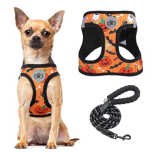 Halloween Dog Harness Medium Sized and Leash Set (Small(Chest Girth 14.5" - 16") / Halloween)