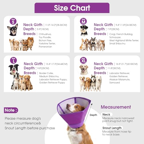 Dog Recovery Cone Waterproof Plastic Elizabethan Collar Purple S (Purple / Small)