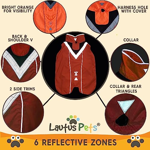 Dog Clothes Dog Raincoat (Orange / Medium)