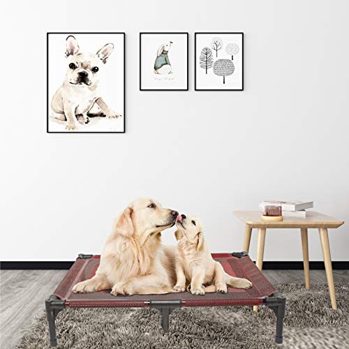 Elevated Dogs Bed Waterproof Outdoor (L (36"L x 30"W x 7"H) / Red)