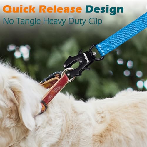 Heavy Duty Tactical Dog Leash (Light Blue)