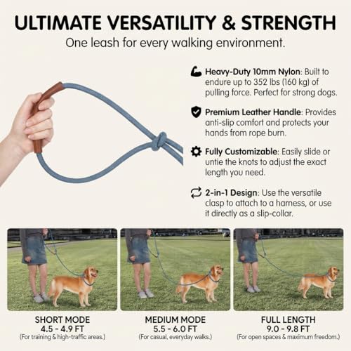 Hands Free Multifunctional Dog Leash for 1 or 2 Dogs (Tapestry Blue)