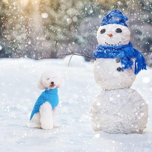 Dog Sweater for Medium Dogs (Blue / Medium)
