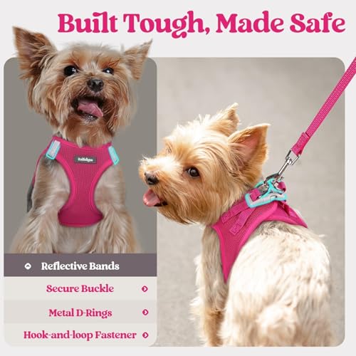 Dog Harness Small Sized and Leash Set (Rose Red / Xxxs (chest: 10.8 - 11.8"))