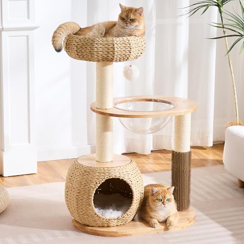 Modern Cat Tree for Indoor Small & Medium Cats (Natural w/ Capsule-38")