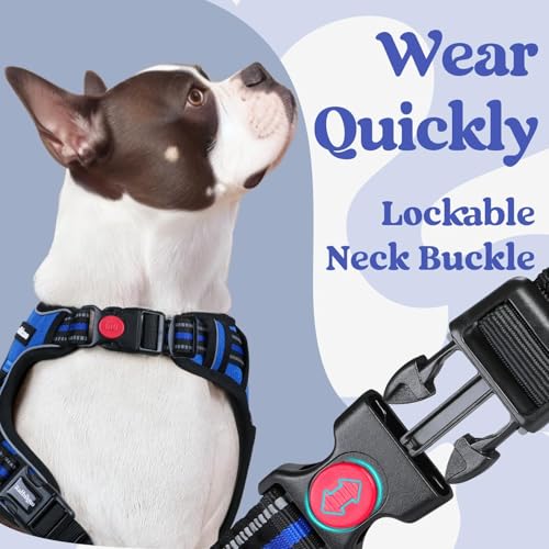 Dog Harness Medium Sized (Medium / Blue)