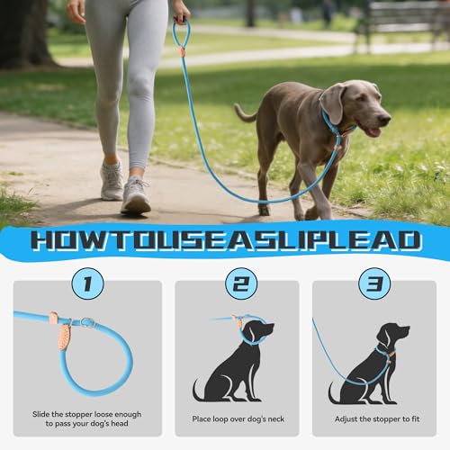 Heavy Duty Slip Lead No Pull Leash 6 (Blue / 6 Feet)