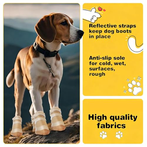 Dog Shoes for Small Dogs (Brown / #2 (Width 1.29 inch) for 6.6-11.0 lbs)