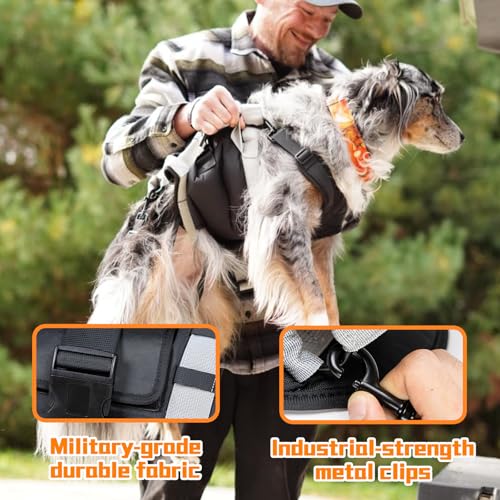 Dog Lift Harness for Large Dogs (Black / Large)