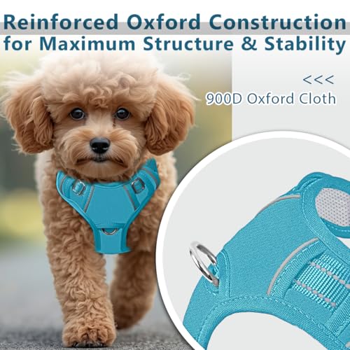 No Pull Dog Harness for Small Sized Dogs (Small(Chest:19.5-26”) / Aqua-Oxford)