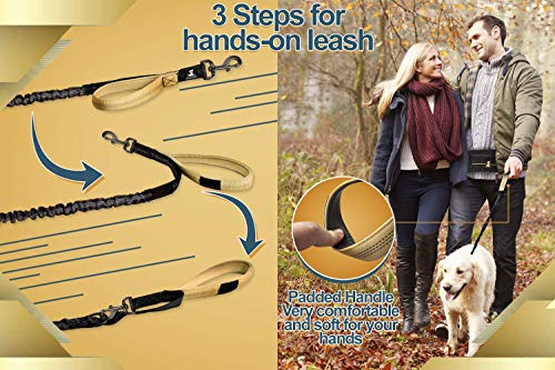Hands Free Dog Leash (Premium Gold / 1 dog M/L)