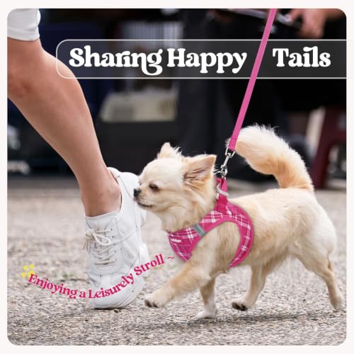 Dog Harness Medium Sized and Leash Set (Rose Red Plaid / M (chest: 16 - 18.5"))