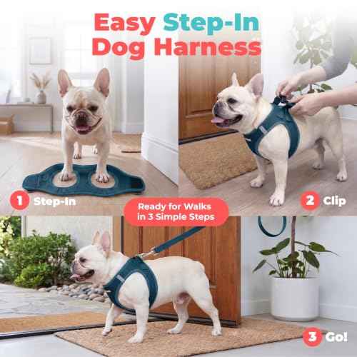 Voyager Step in Air Dog Vest Harness (Blue / XS (Chest: 13 - 14.5"))