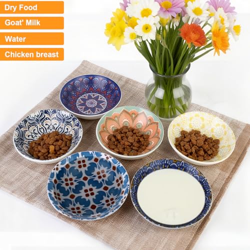 Ceramic Cat Food Bowls (Bohemian Colors)