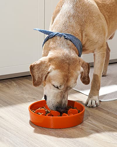 Slow Feeder Dog Bowls Ceramic (Sun Orange / L-3 Cups)