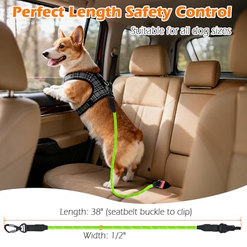 Dog Seat Belt for Car (Green / 1 Pack)