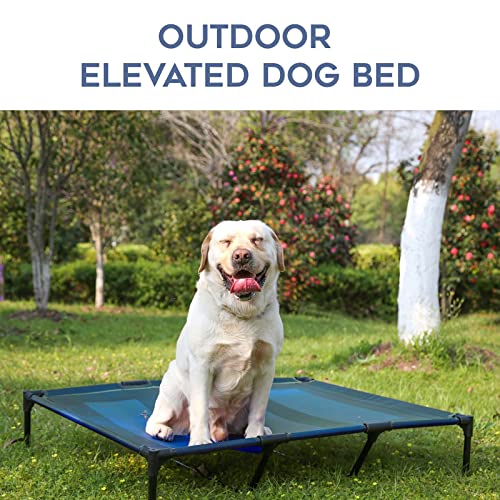 Elevated Dogs Bed Waterproof Outdoor (XL (48"L x 36"W x 9"H) / Blue)
