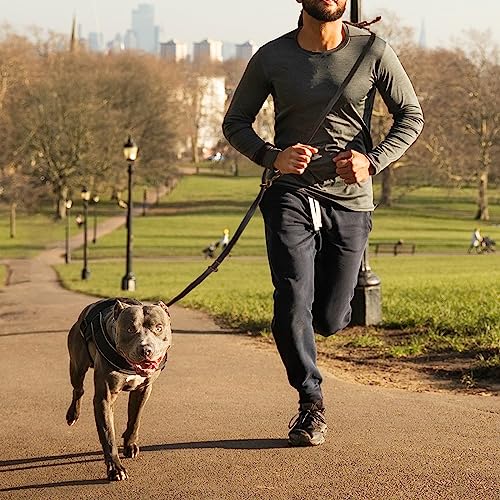 Hands Free Leather Dog Leash 8ft - PetSolution