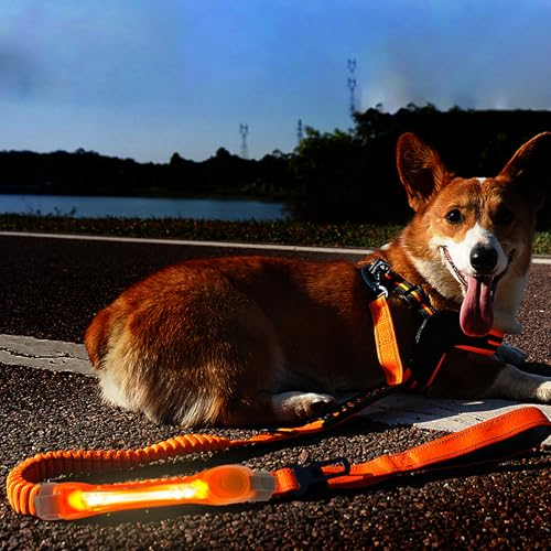 LED Dog Leash with Light Heavy Duty for Large Dogs Night Walking (YellowOrange+Tangerine light)