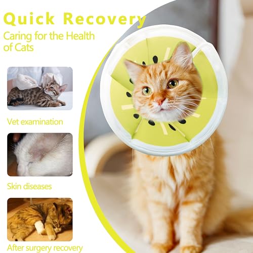 Soft Adjustable Cat Cone Collar (Gold Kiwi / Medium)